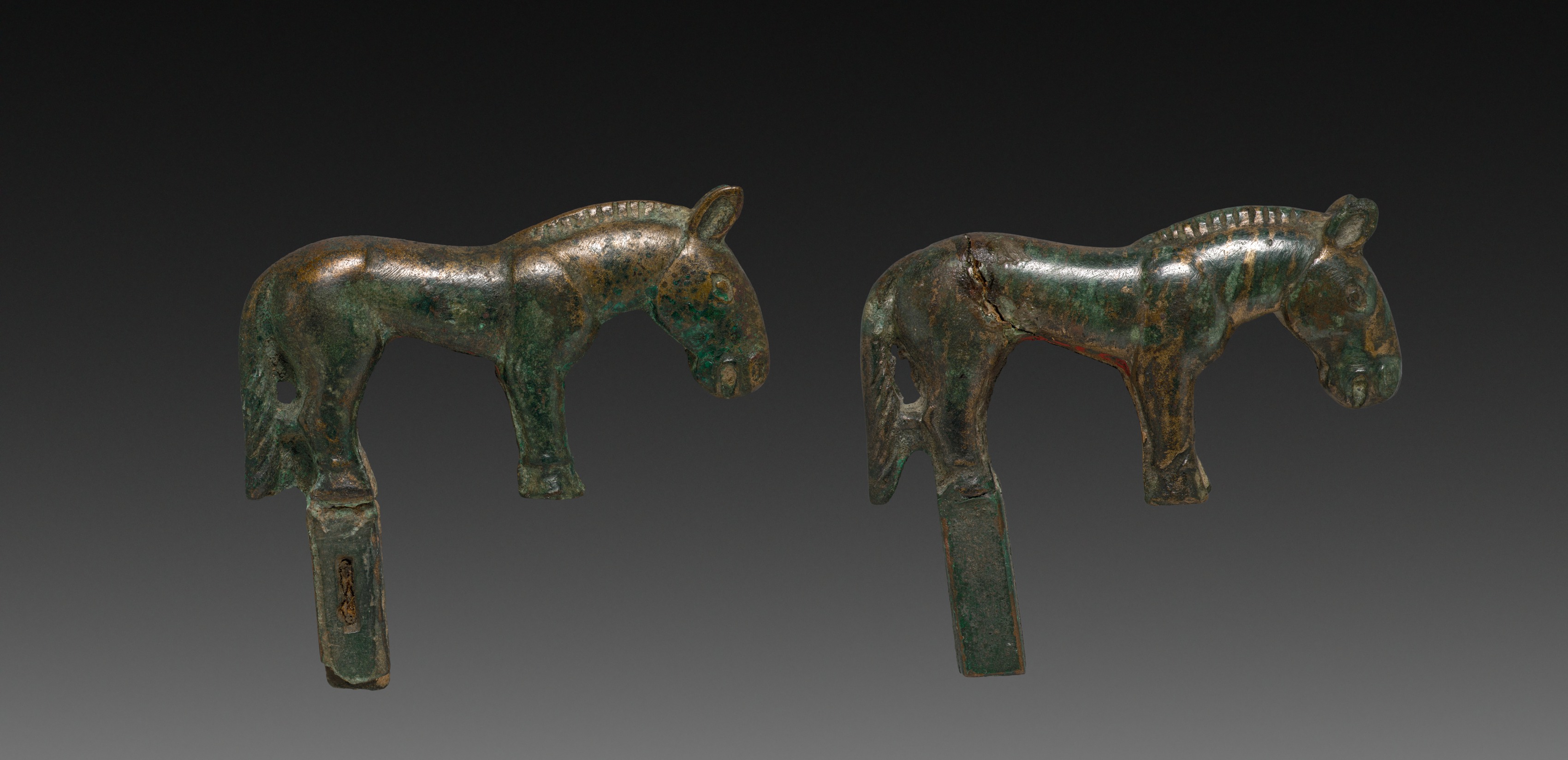 Pair of Wild Horses, Unknown