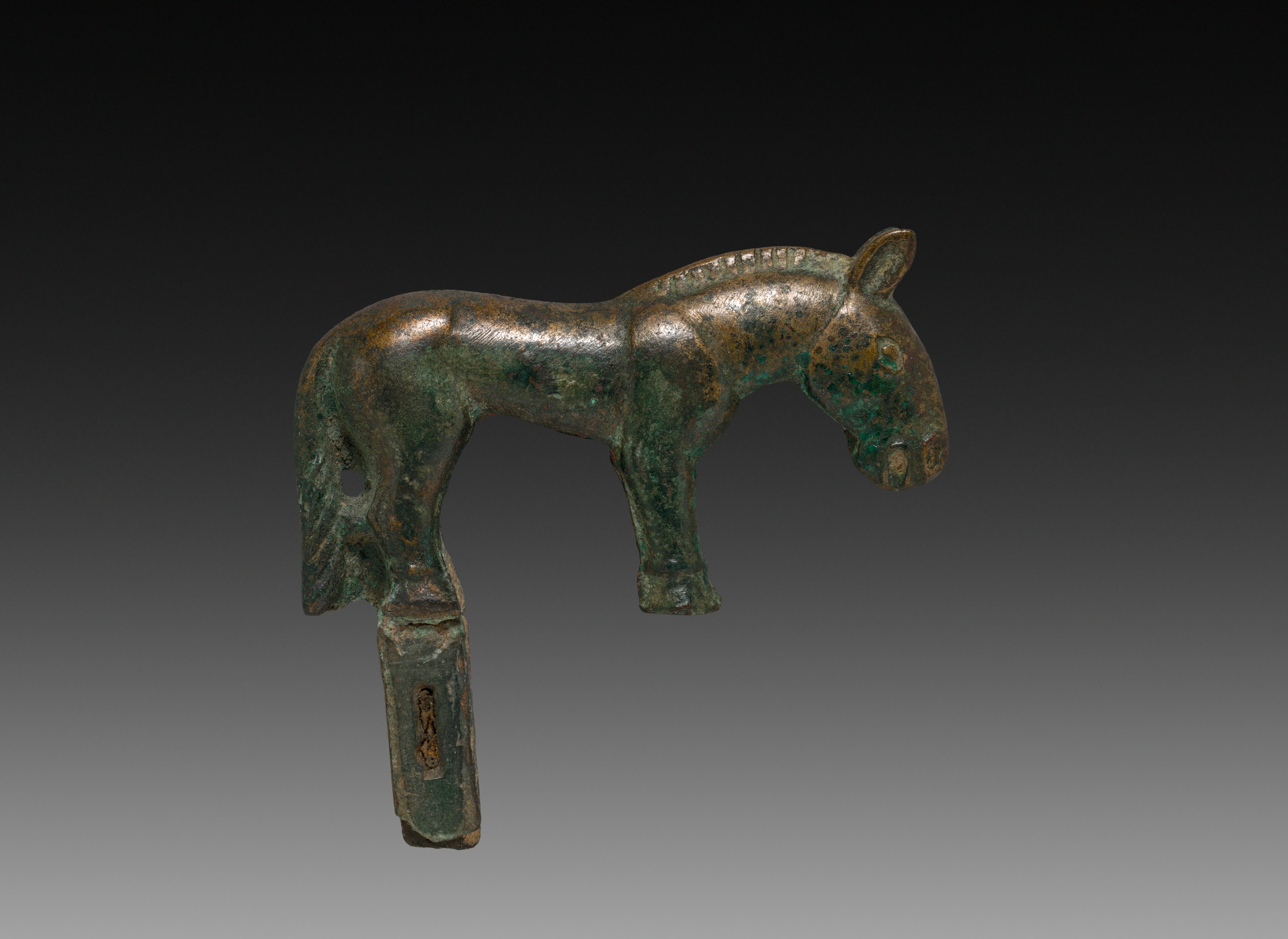 Wild Horse, Unknown
