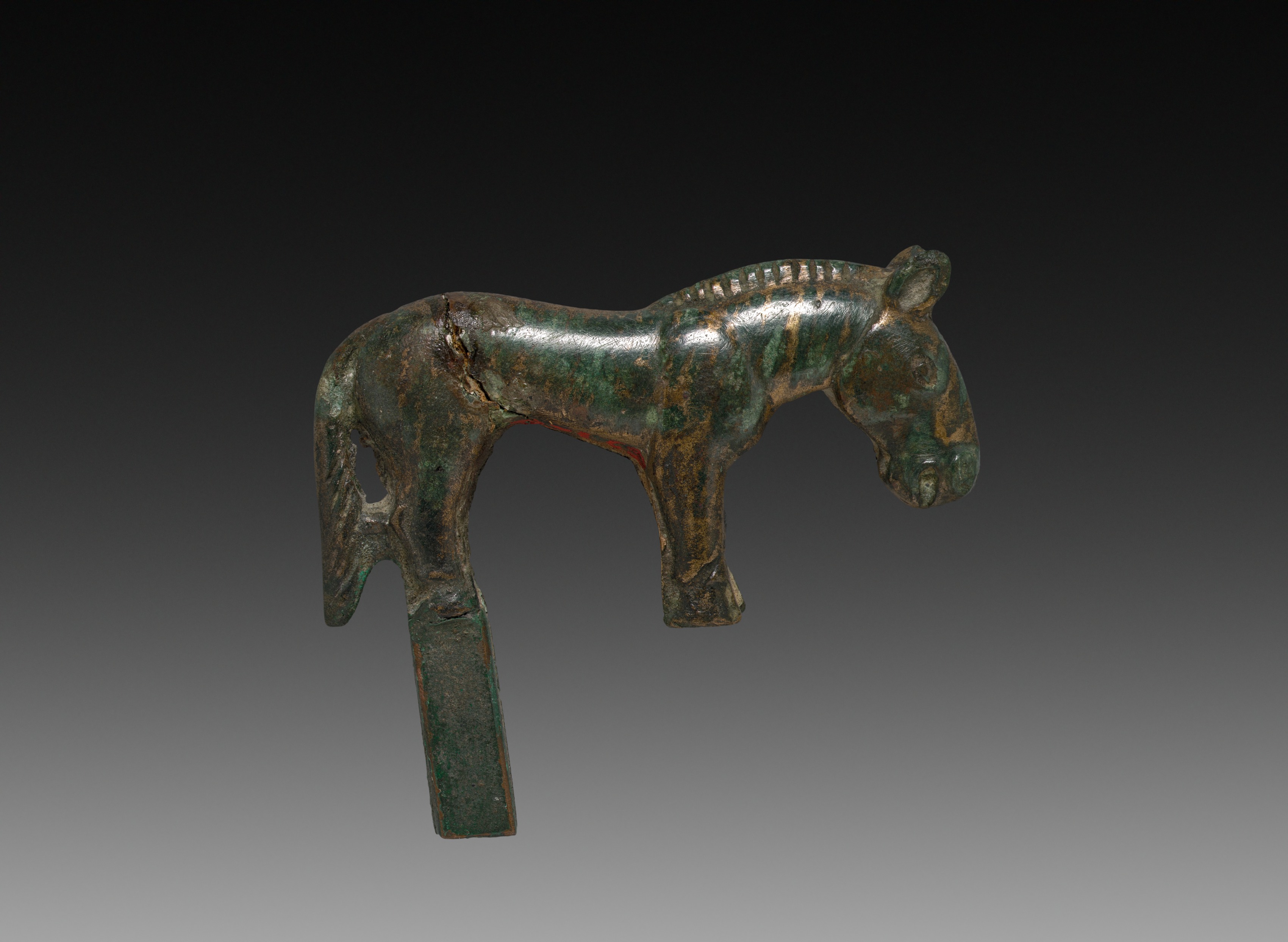 Wild Horse, Unknown