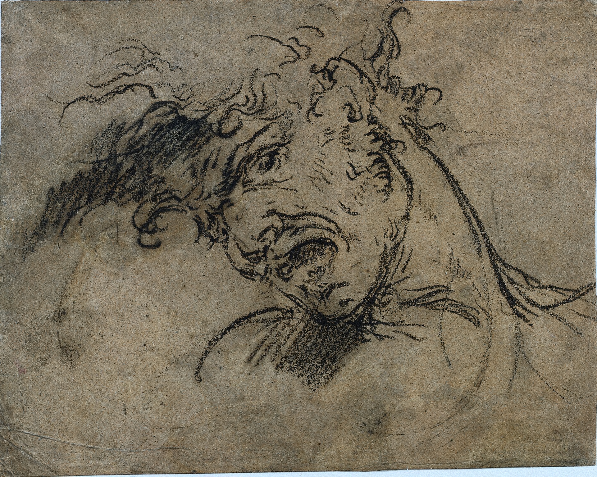 Head of a Screaming Man (recto), Benjamin West (American, born The Thirteen Colonies, 1738–1820)