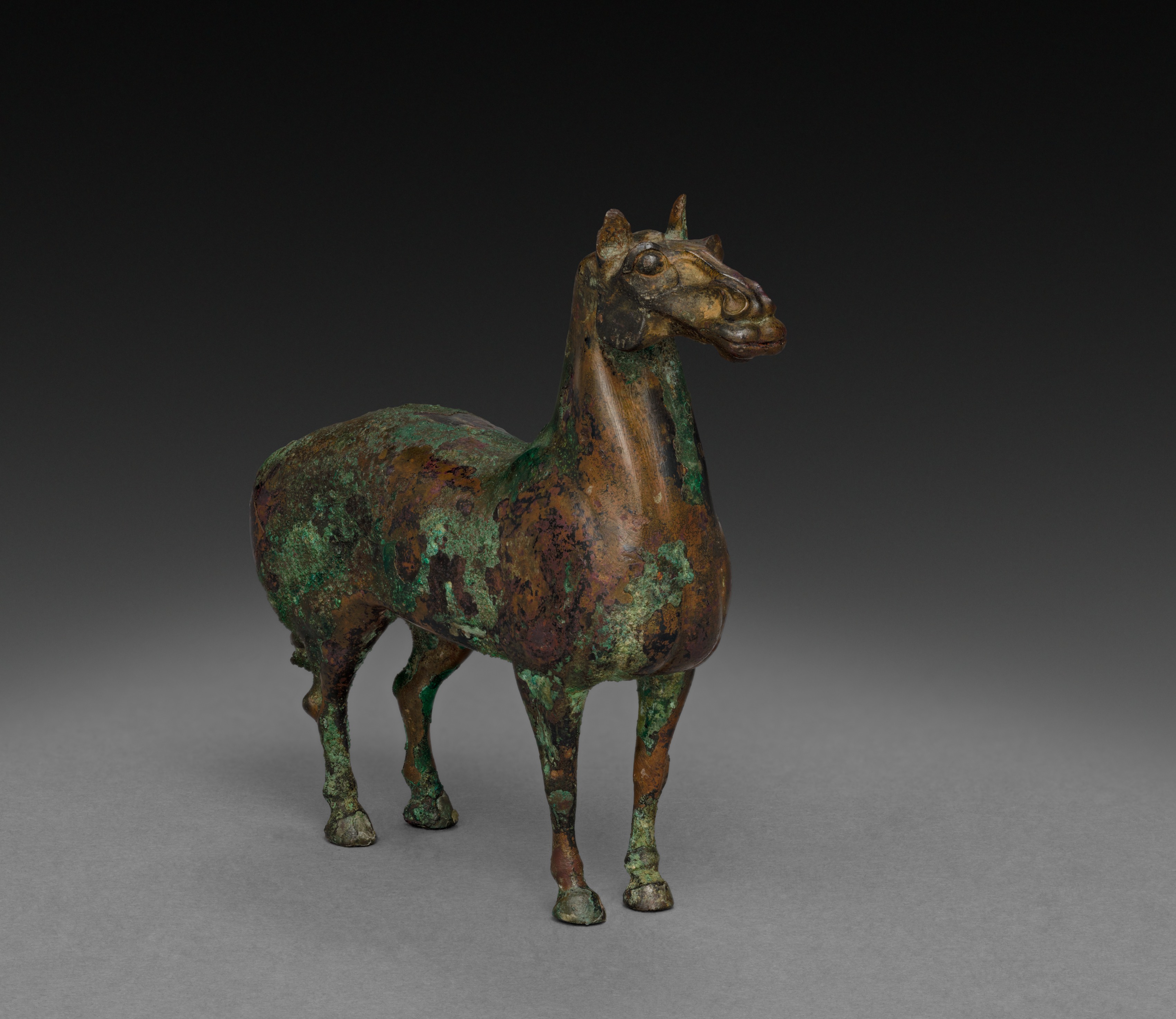 Standing Horse, Unknown
