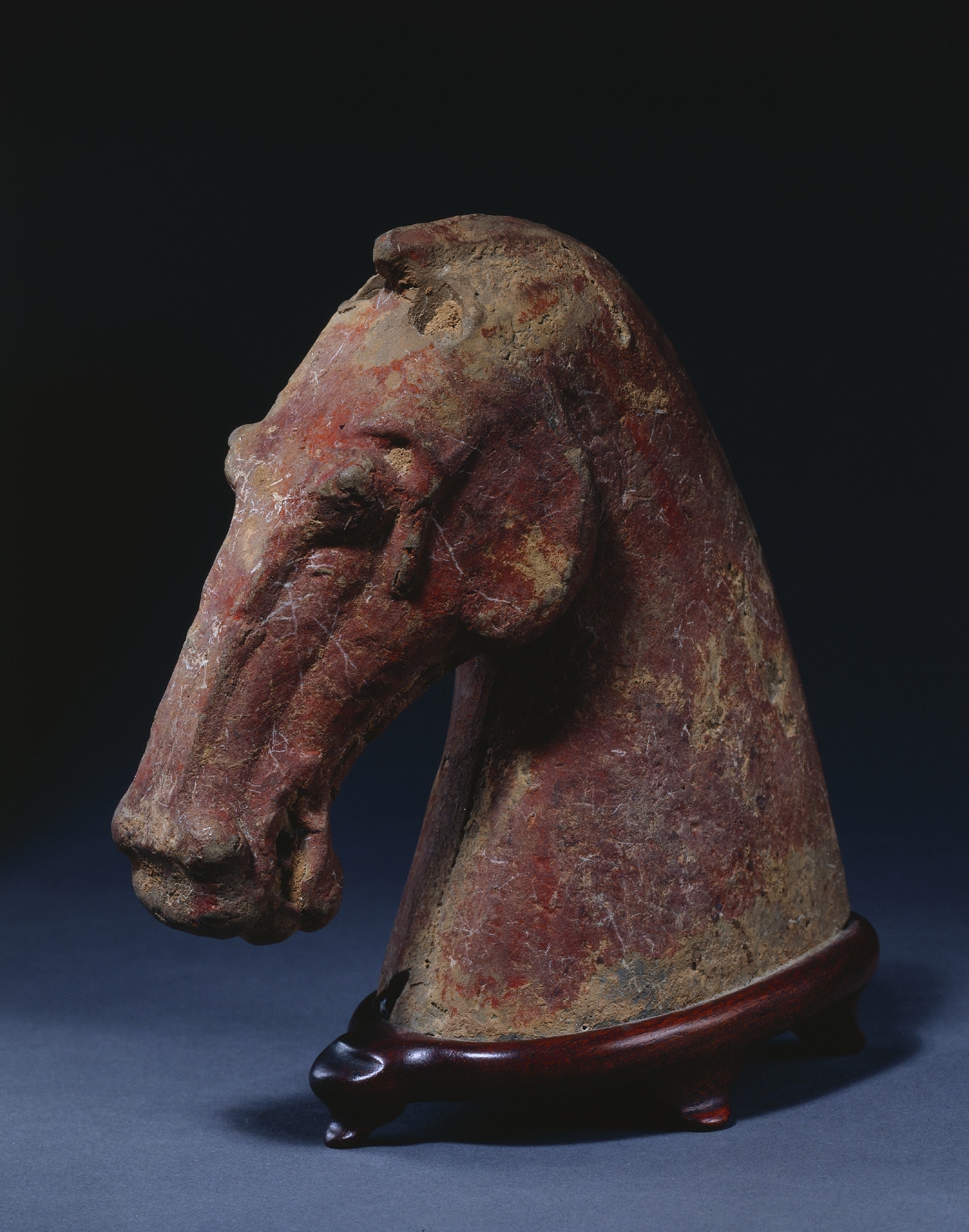 Horse's Head, Unknown