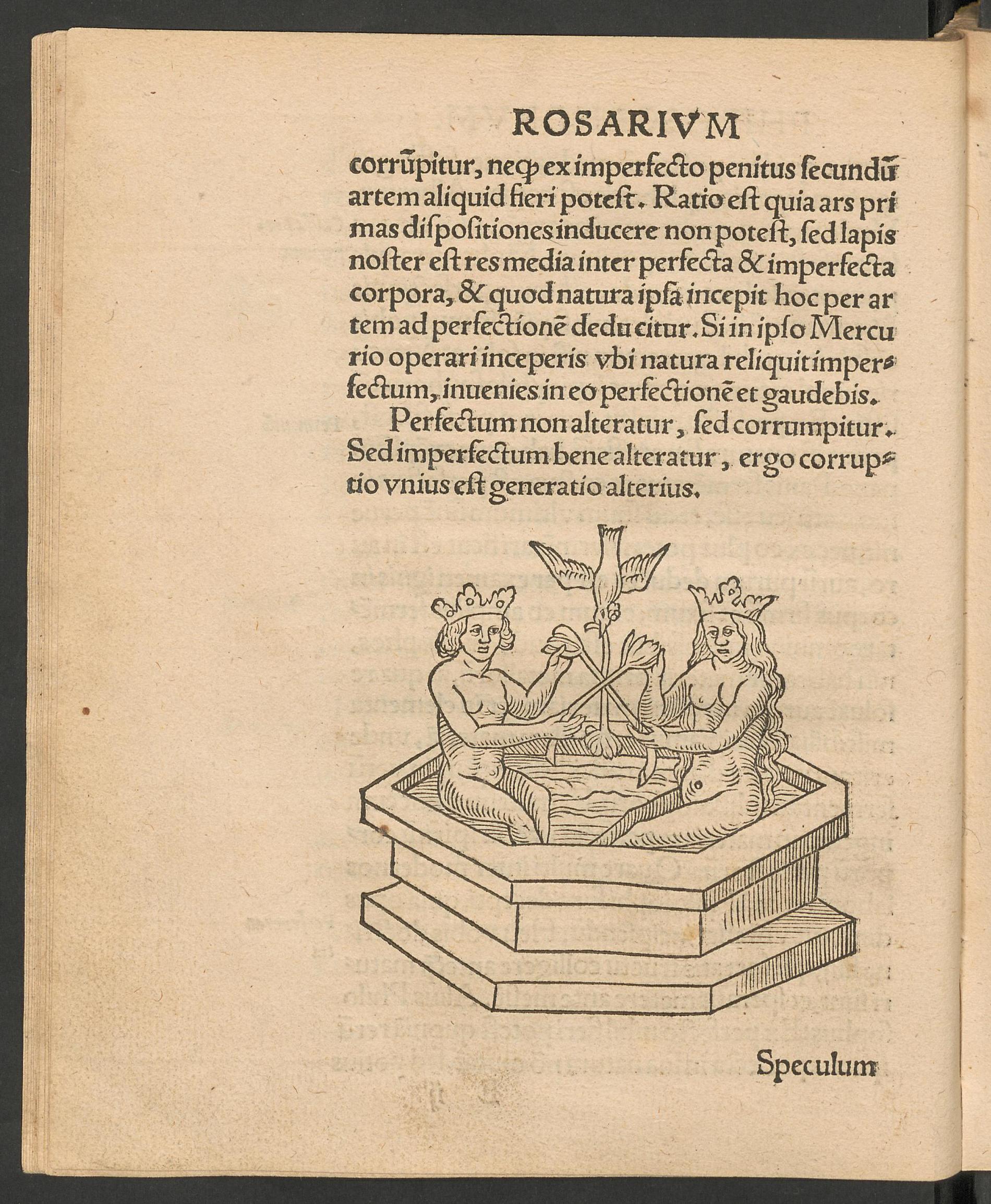 Rosarium philosophorum, page [40], Unknown