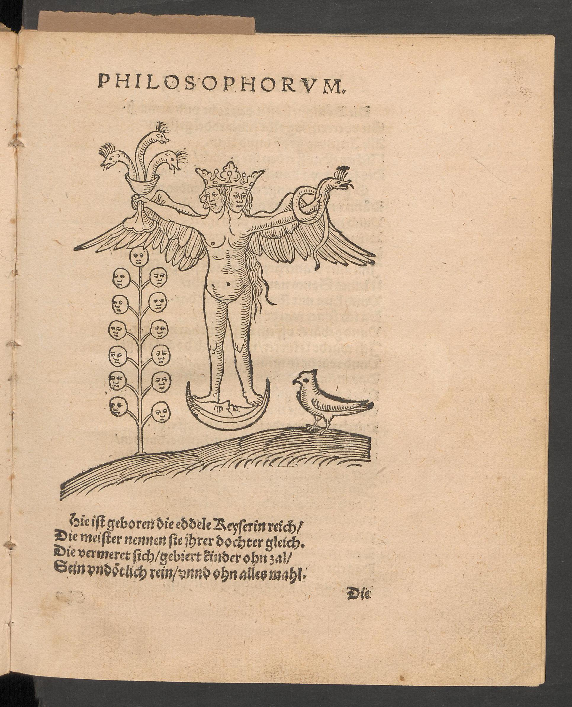Rosarium philosophorum, page [99], Unknown