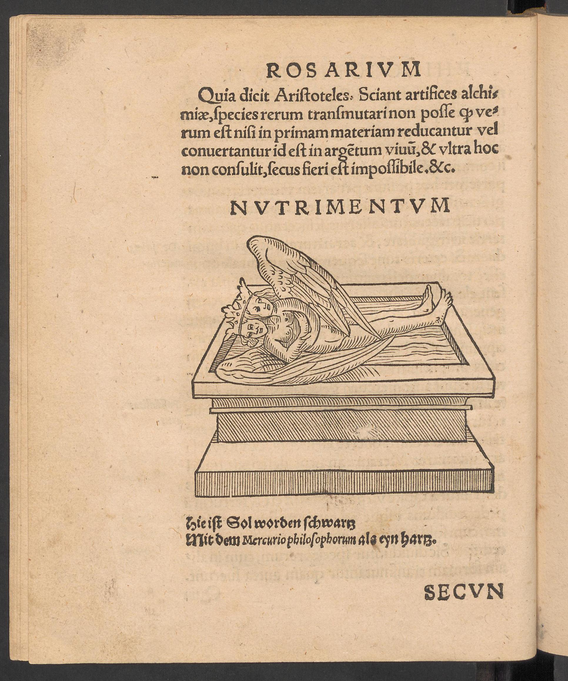 Rosarium philosophorum, page [133], Unknown