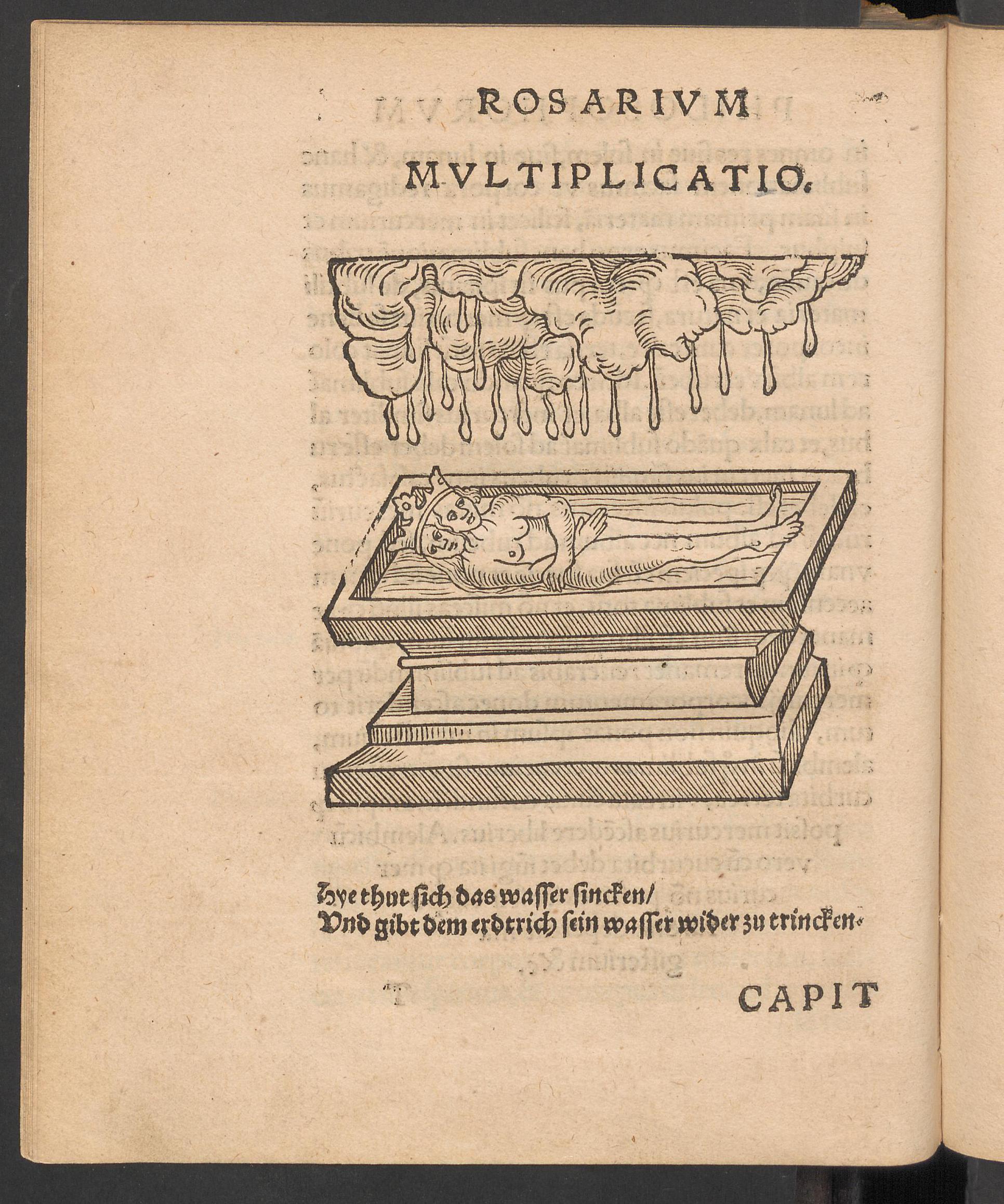 Rosarium philosophorum, page [151], Unknown