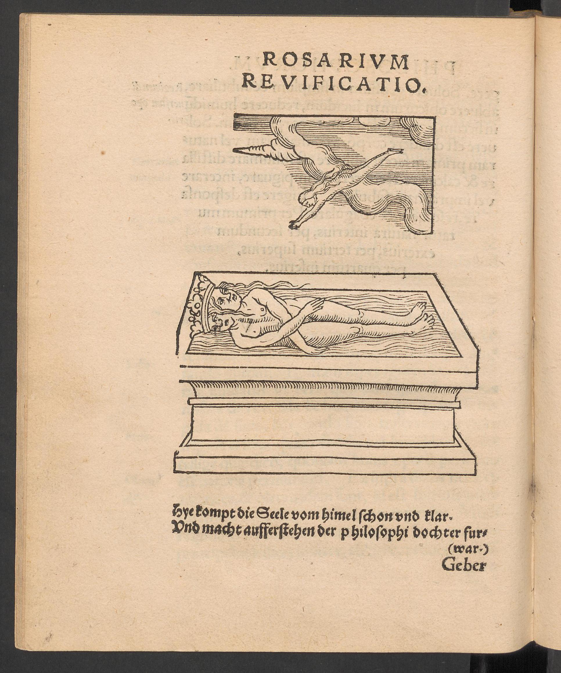 Rosarium philosophorum, page [161], Unknown