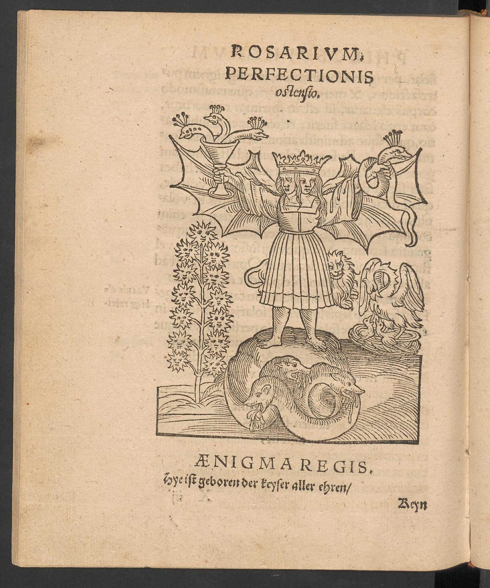 Rosarium philosophorum, page [171], Unknown