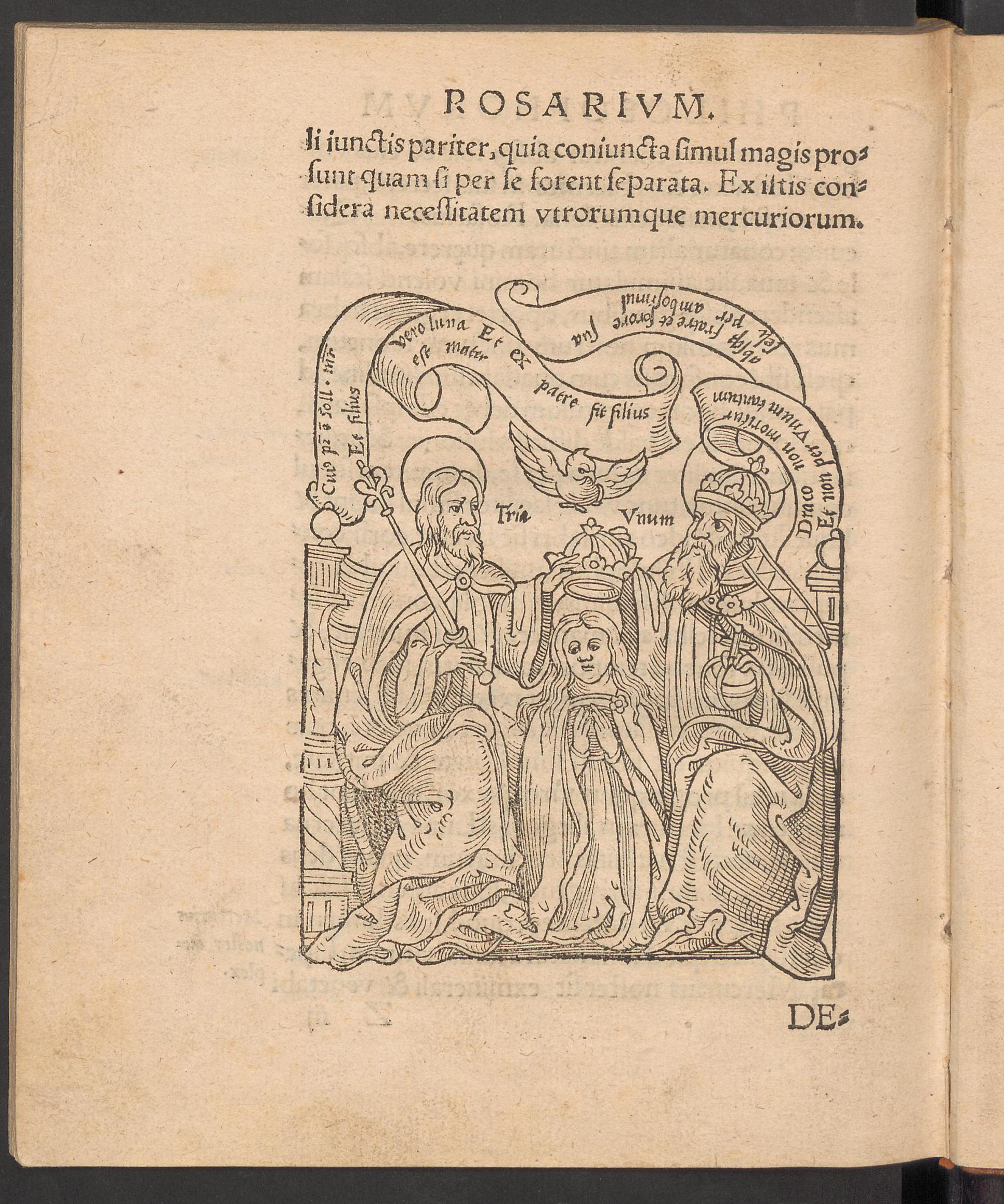 Rosarium philosophorum, page [187], Unknown