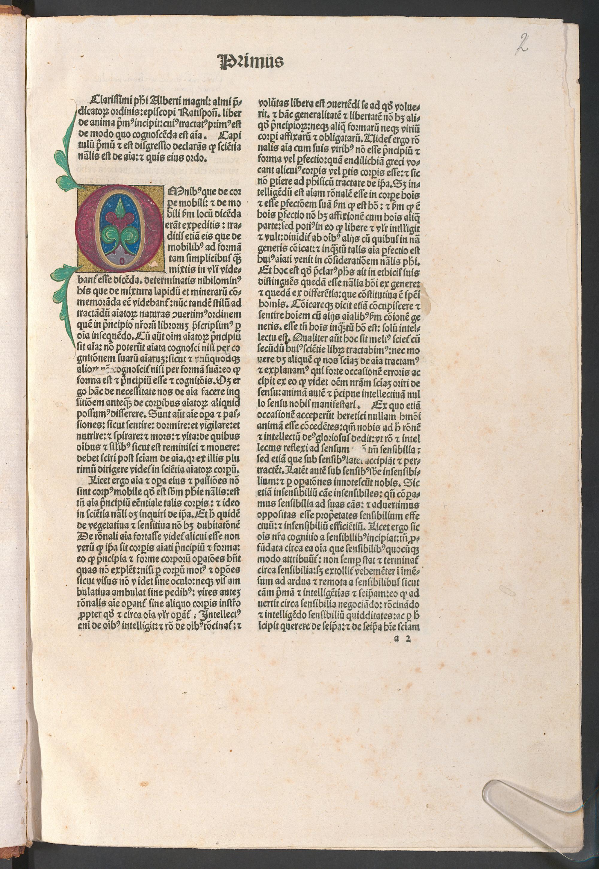 [De anima. De intellectu], Albertus