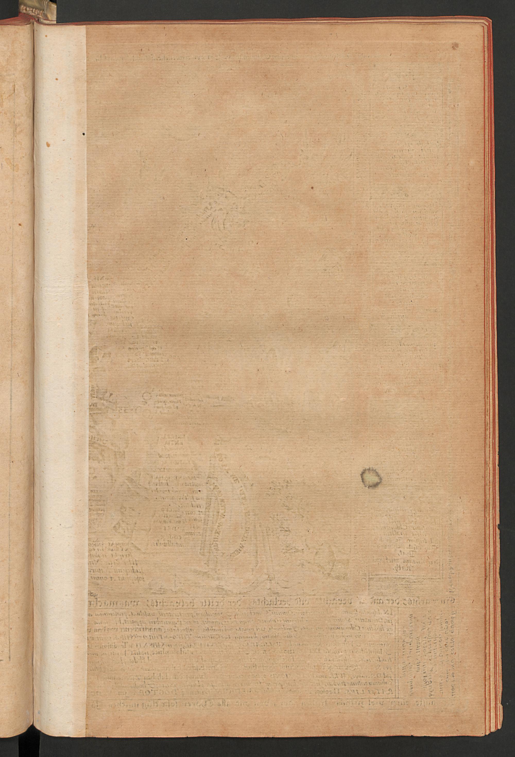 Amphitheatrum sapientiae aeternae, page [301], Khunrath, Heinrich