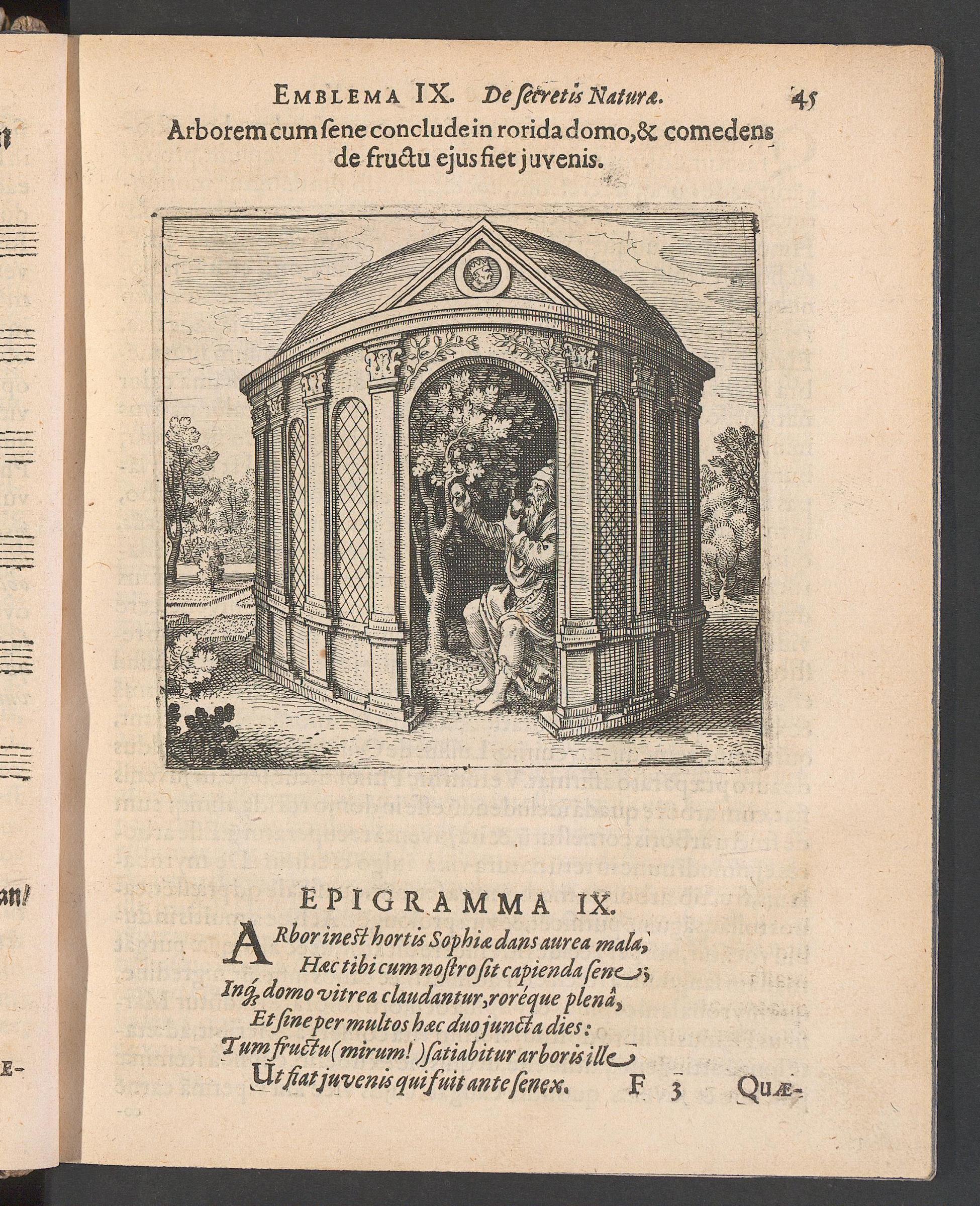 Atalanta fugiens, page 45, Maier, Michael