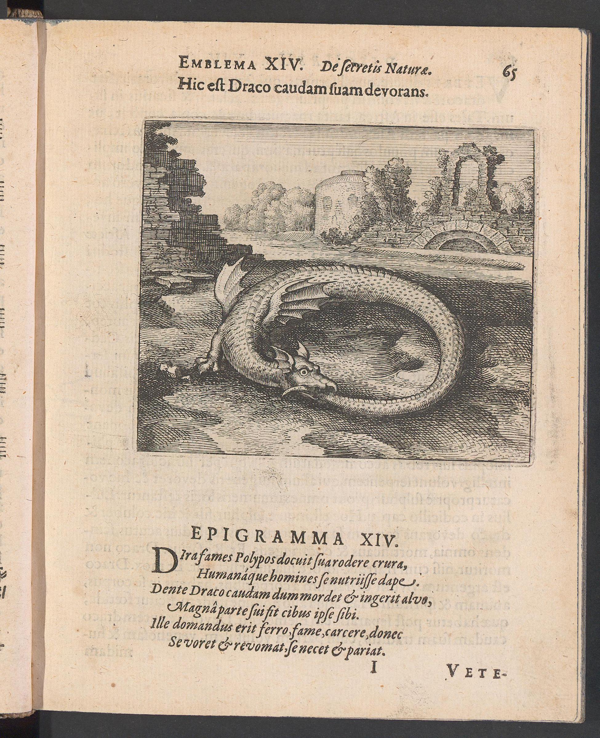 Atalanta fugiens, page 65, Maier, Michael