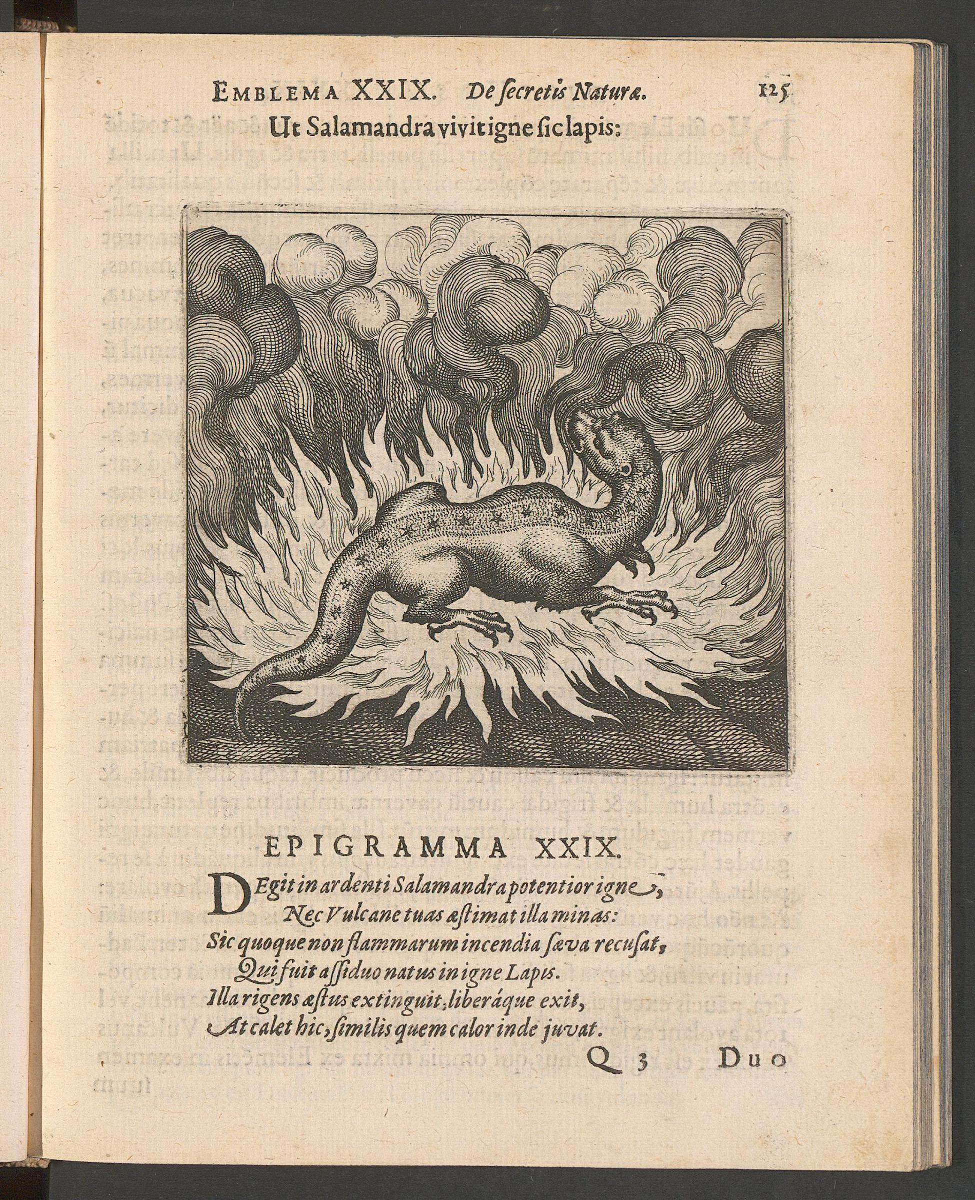 Atalanta fugiens, page 125, Maier, Michael