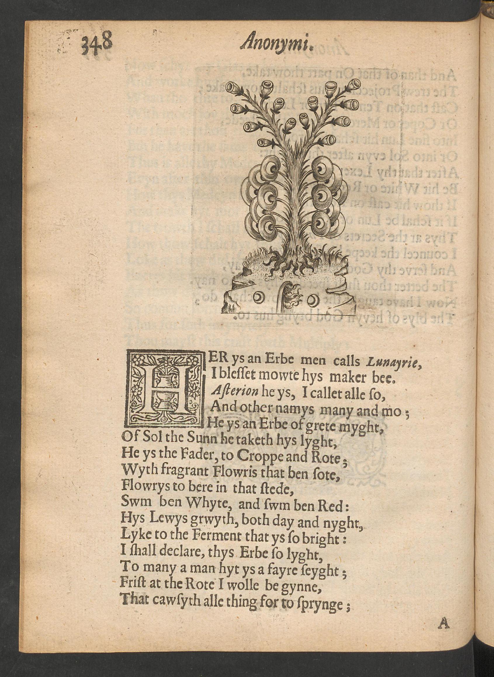 Theatrum chemicum Britannicum, page 348, Ashmole, Elias
