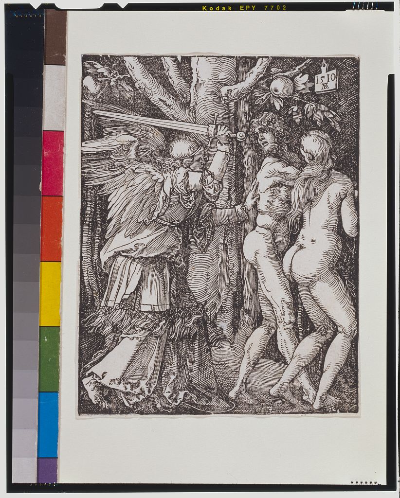[Small Passion. The expulsion from Paradise] / AD., Dürer, Albrecht, 1471-1528, artist